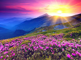 images (5)